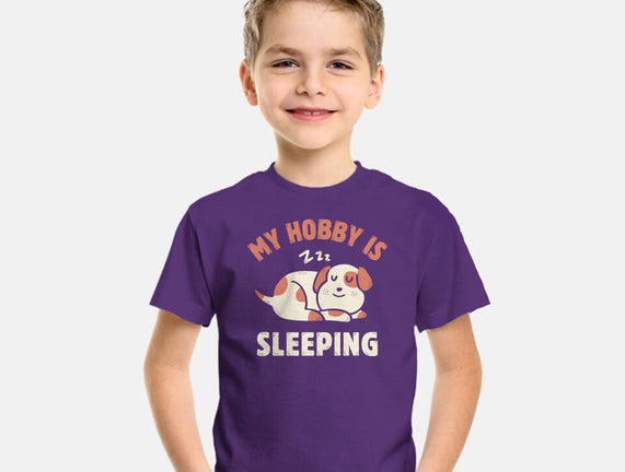 My Hobby Is Sleeping
