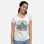 I Hate Modern Architecture-Womens-V-Neck-Tee-GODZILLARGE