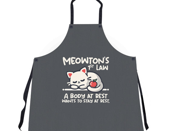 Meowton's First Law