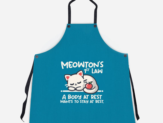 Meowton's First Law