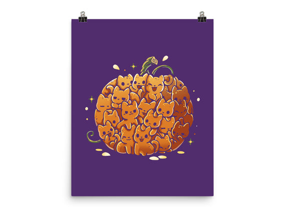 Pumpkin Kittens