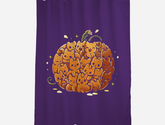 Pumpkin Kittens