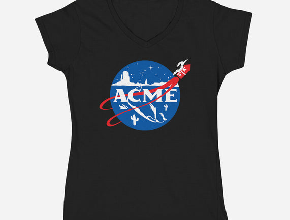 Acme Space Program