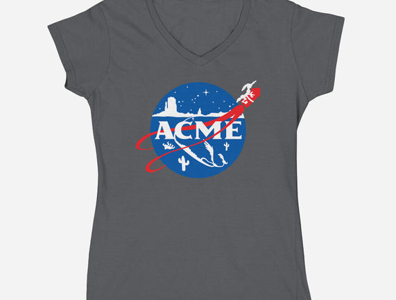 Acme Space Program