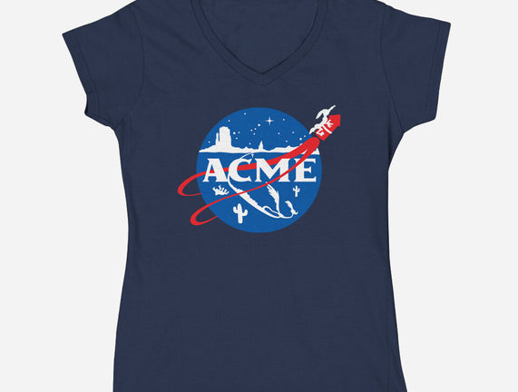 Acme Space Program