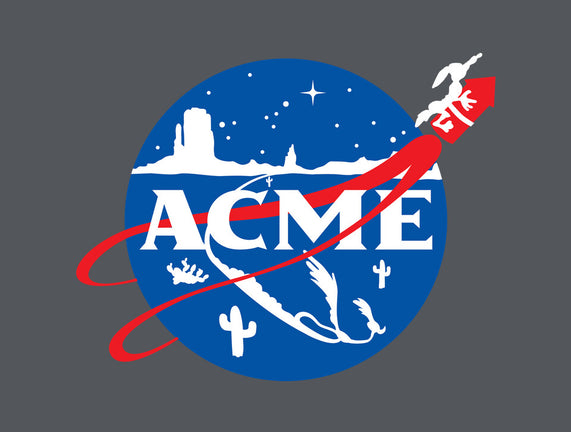 Acme Space Program