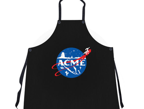 Acme Space Program