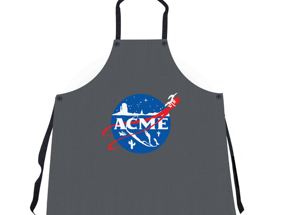Acme Space Program