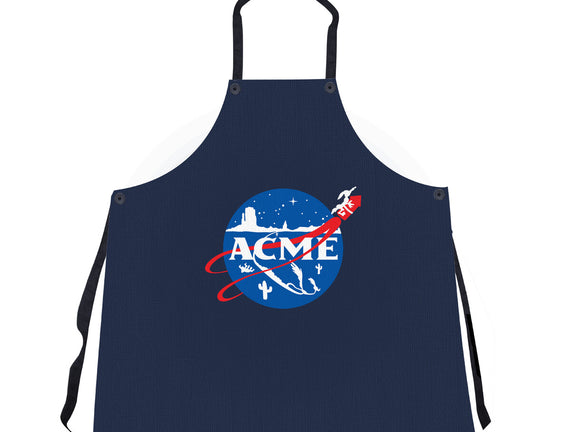 Acme Space Program