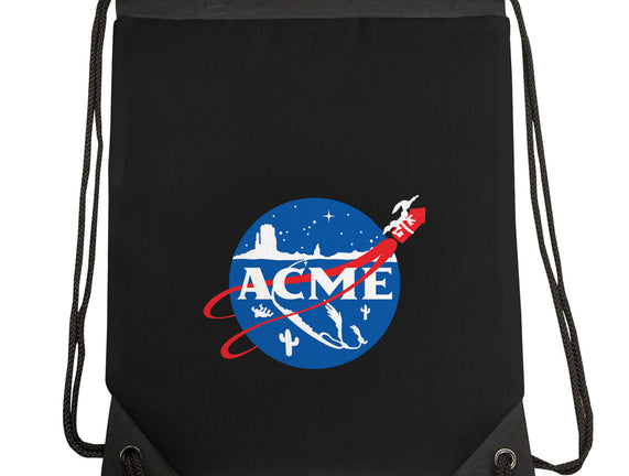 Acme Space Program