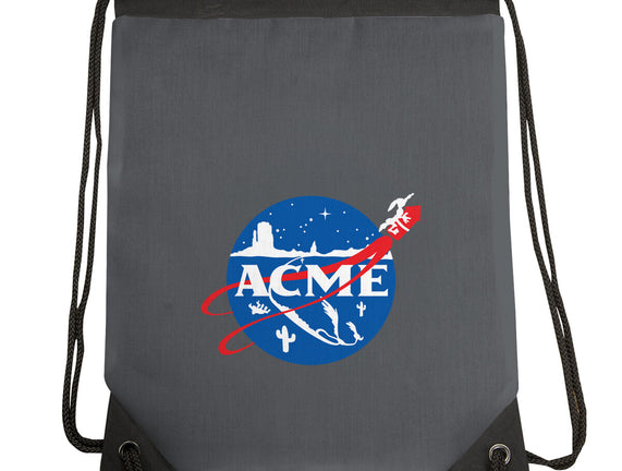 Acme Space Program