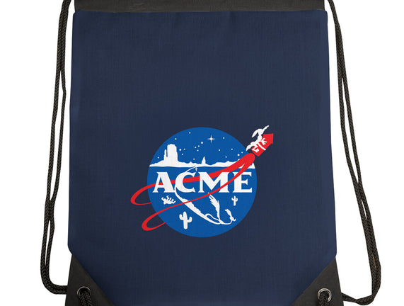 Acme Space Program