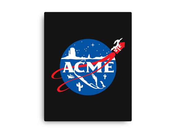 Acme Space Program