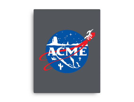Acme Space Program