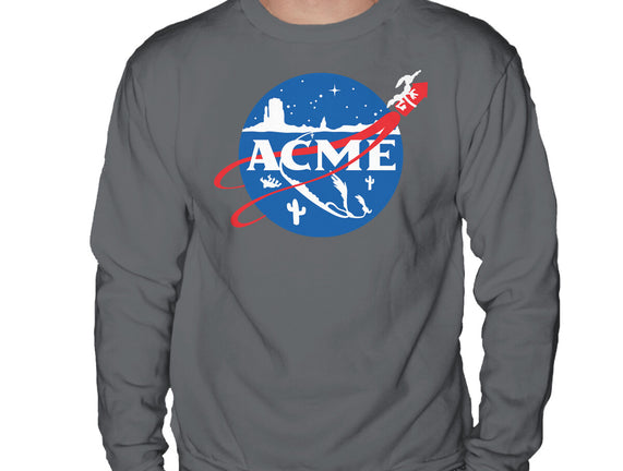 Acme Space Program