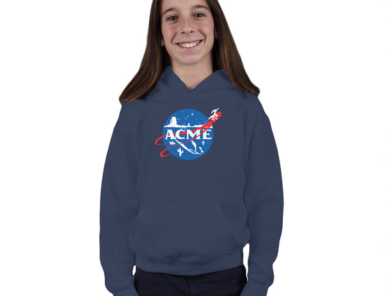 Acme Space Program