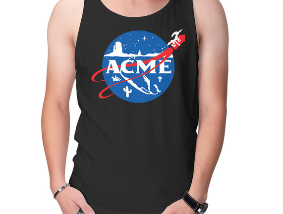 Acme Space Program