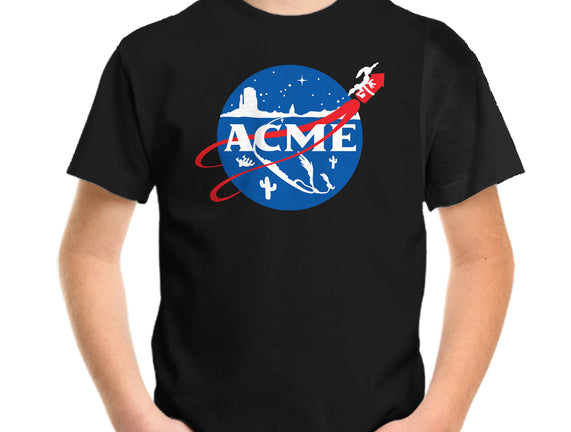 Acme Space Program