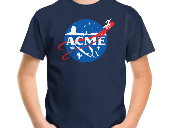 Acme Space Program