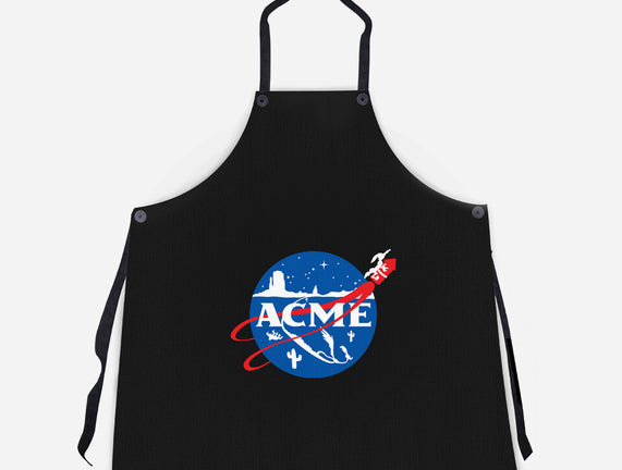Acme Space Program