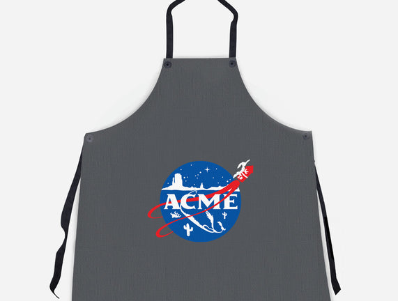 Acme Space Program