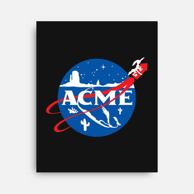 Acme Space Program-None-Stretched-Canvas-mekazoo
