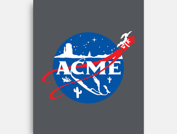 Acme Space Program