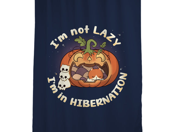 I'm In Hibernation