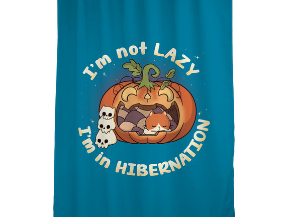 I'm In Hibernation