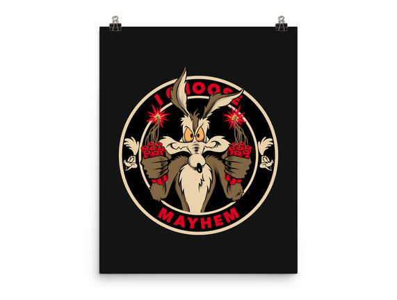 Mayhem Of Coyote