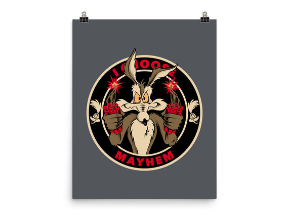 Mayhem Of Coyote