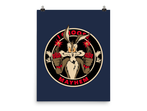 Mayhem Of Coyote