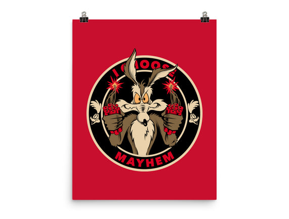 Mayhem Of Coyote