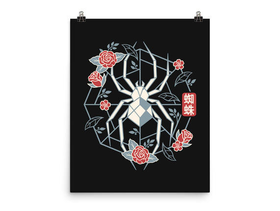 Geometric Spider