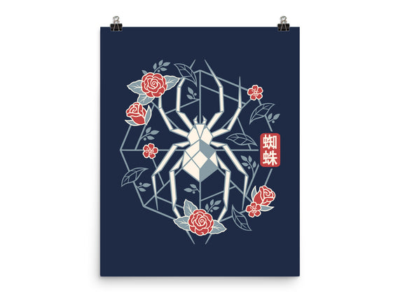 Geometric Spider