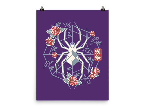Geometric Spider