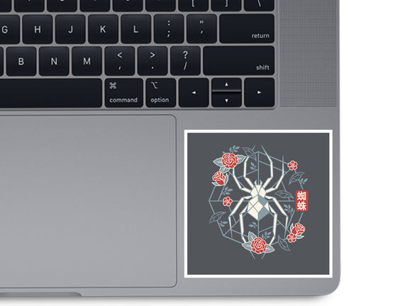 Geometric Spider