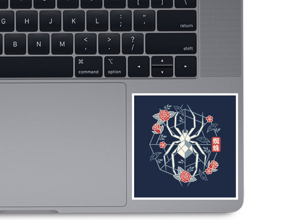 Geometric Spider