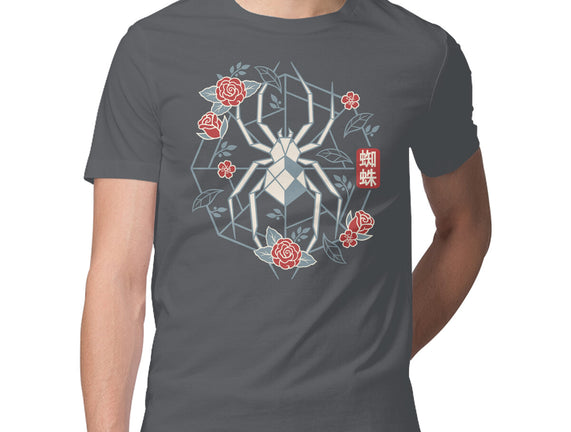 Geometric Spider