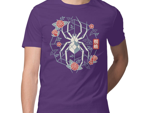 Geometric Spider