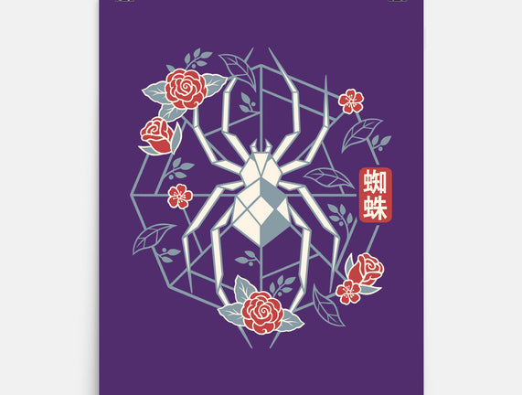 Geometric Spider