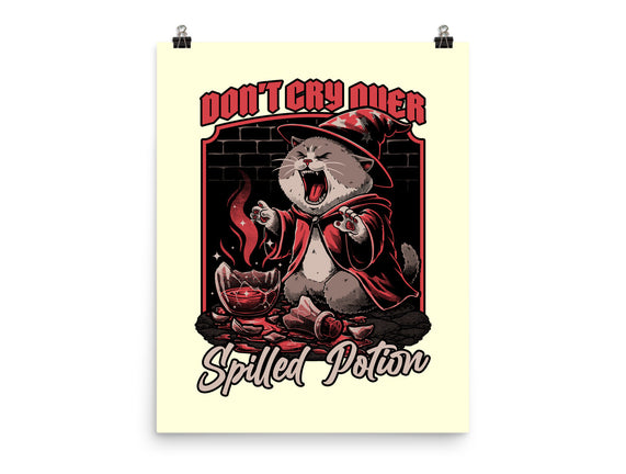 Wizard Cat Potion