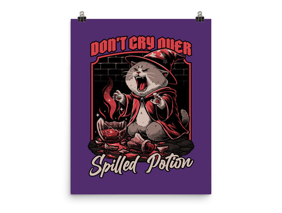 Wizard Cat Potion