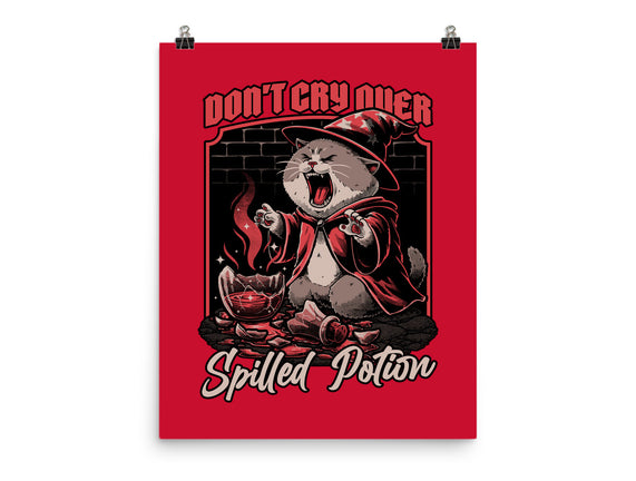 Wizard Cat Potion