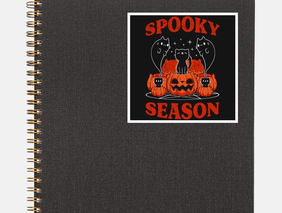 Spooky Season Cats