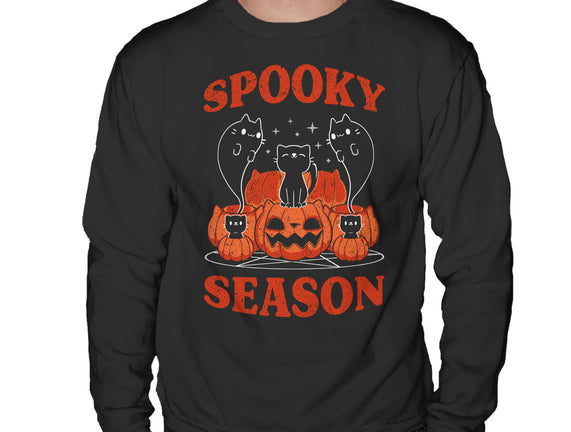 Spooky Season Cats