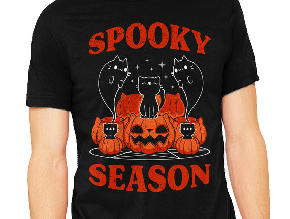 Spooky Season Cats