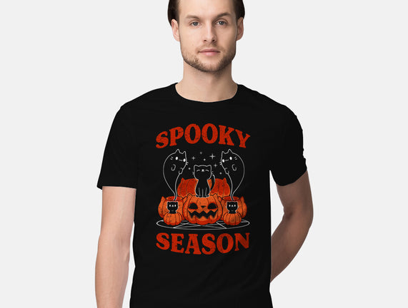 Spooky Season Cats