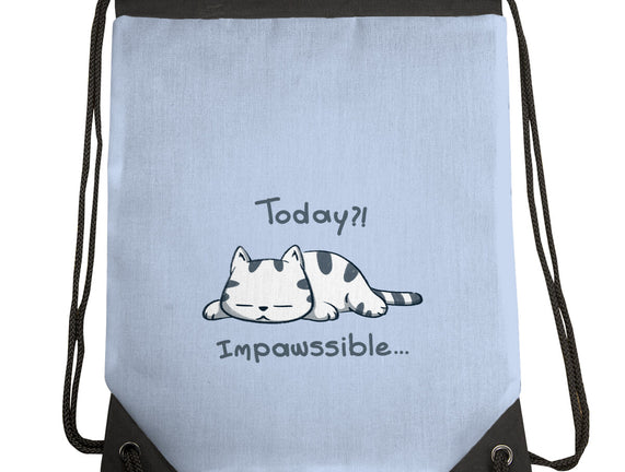 Is Impawssible