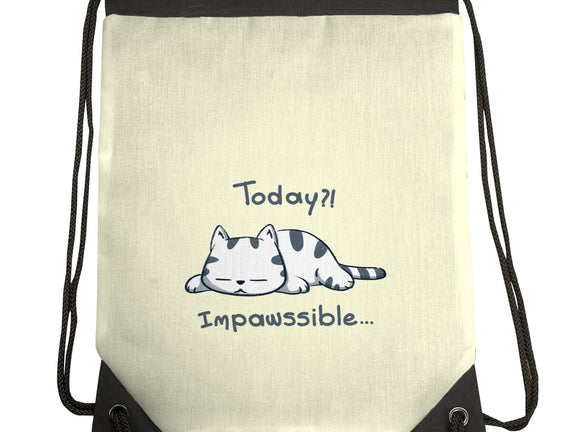 Is Impawssible